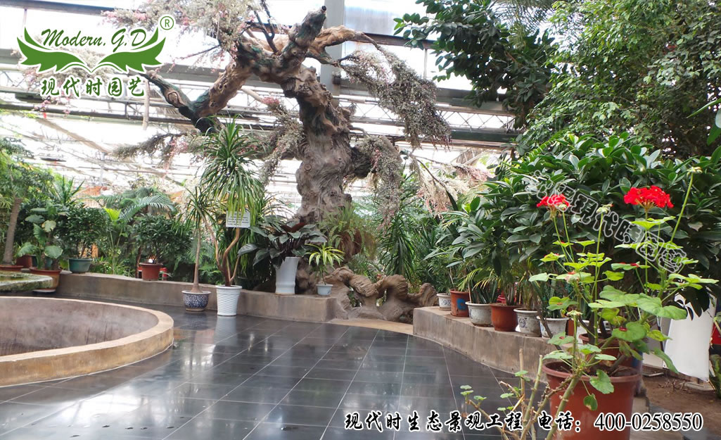 �҃�(n��i)���^����